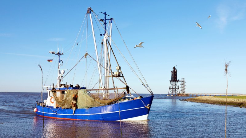 Ein Kutter fährt in den Hafen von Dorum-Neufeld, im Hintergrund der Leuchtturm Obereversand.