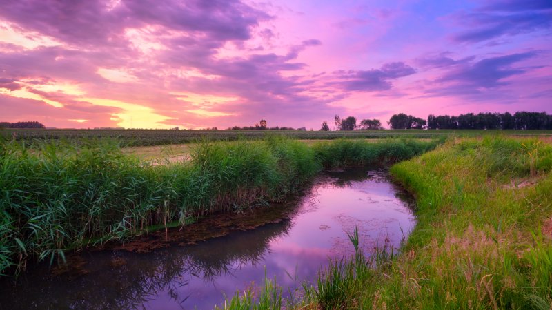 Ein Kanal schlängelt sich durch Wiesen und spiegelt den lila Himmel.