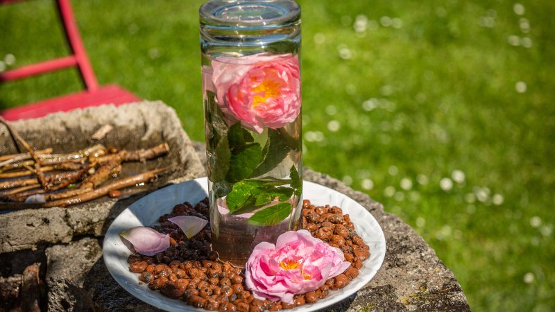 Eine Schale mit Blähton und Wasserglas mit Blüten.
