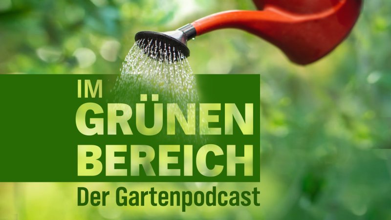 Logo des Podcast Im Grünen Bereich