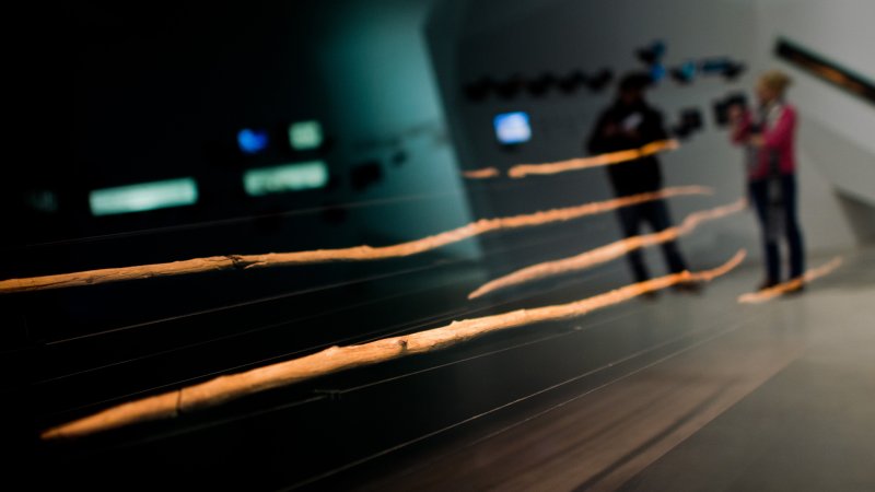 Holzspeere aus der Altsteinzeit in einer Vitrine im Forschungsmuseum Schöningen.