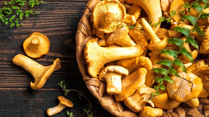 Frische Pfifferlinge in einem runden Korb und auf einem Holztisch