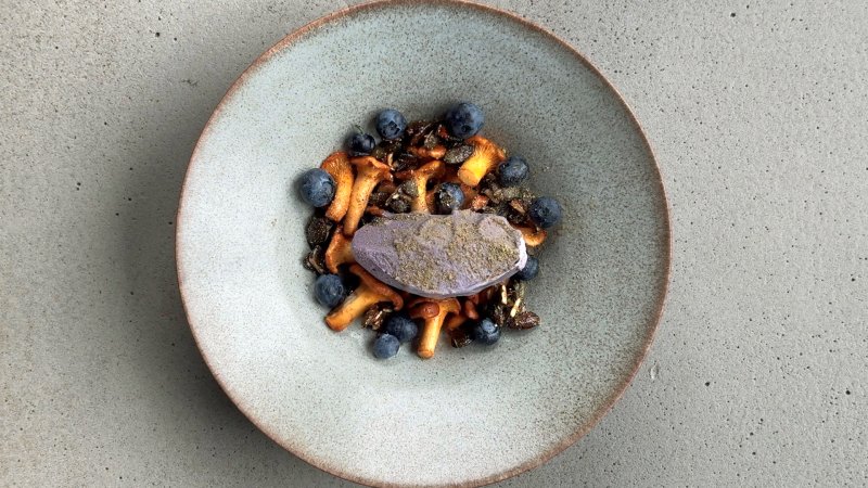 Süße Pfifferlinge mit Blaubeeren und Blaubeer-Eis auf einem Teller serviert