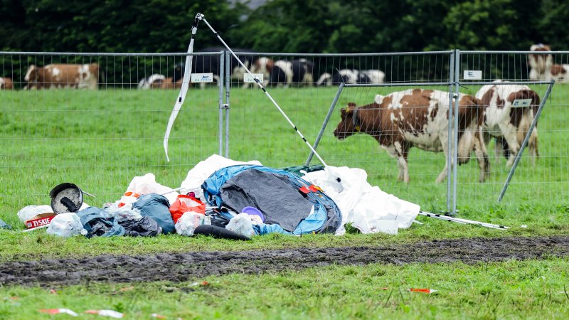 Müll auf einer Wiese vor einem Zaun und einer Kuhkoppel