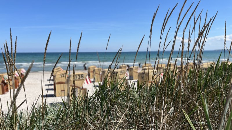 Blick durch Dünengras auf Strandkörbe und Meer
