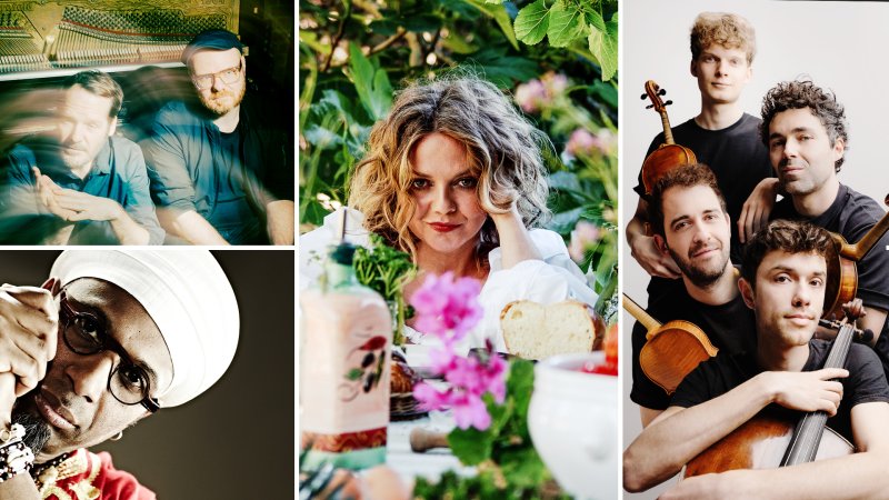Eine Collage mit Bildern der Musiker: Gisbert zu Knyphausen & Kai Schumacher, Annett Louisan, Vision String Quartet und Omar Sosa.